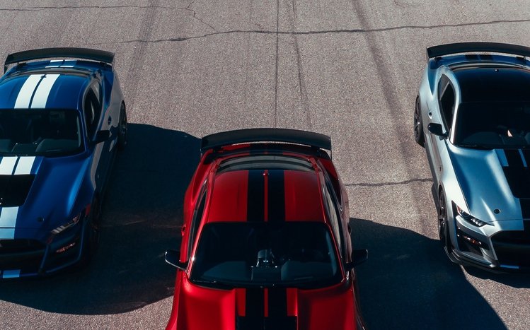 Ford Shelby GT500 Theme screenshot #14