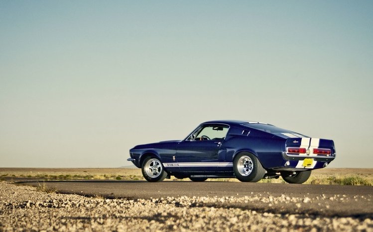 Ford Shelby GT500 Theme screenshot #12