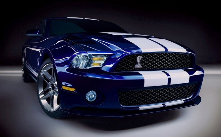 Free download Wallpaper ID 309712 Vehicles Ford Mustang Shelby GT500 Phone  1440x3040 for your Desktop Mobile  Tablet  Explore 44 Mustang Shelby GT500  Wallpapers  Mustang Gt500 Wallpaper 1967 Shelby Gt500 Wallpaper Shelby  Mustang Wallpaper