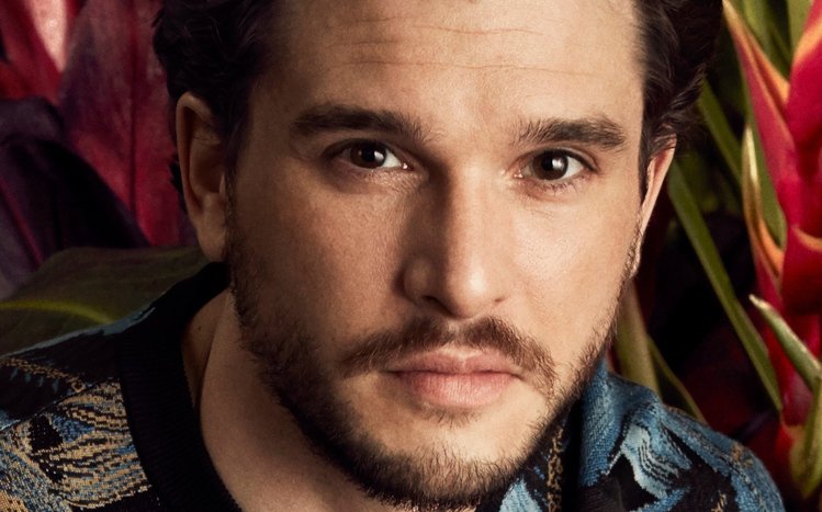 Kit Harington Theme screenshot #14