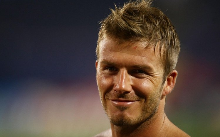 David Beckham Theme screenshot #4