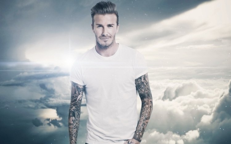 David Beckham Theme screenshot #10