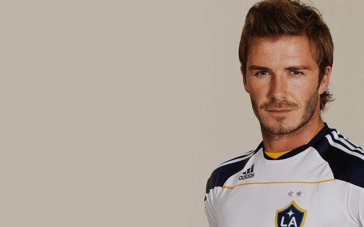 David Beckham Theme screenshot #6