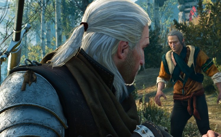 Geralt of Rivia Theme screenshot #12