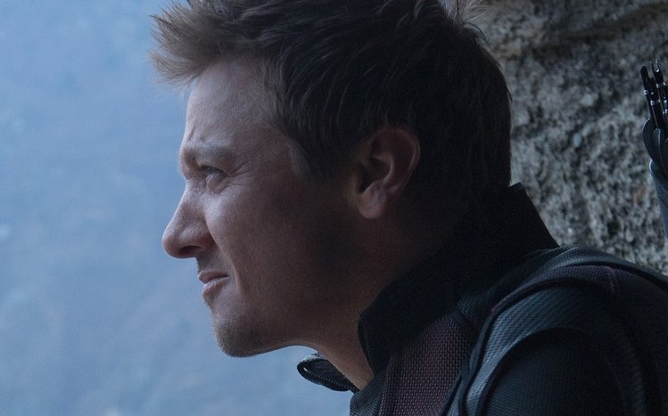 Hawkeye (Avengers) Theme screenshot #6