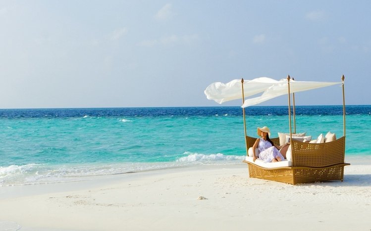 Tropical Summer Theme screenshot #10