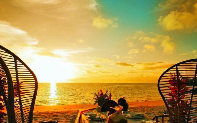 Tropical Summer Theme screenshot #8