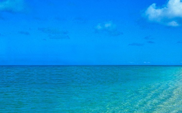 Tropical Summer Theme screenshot #7