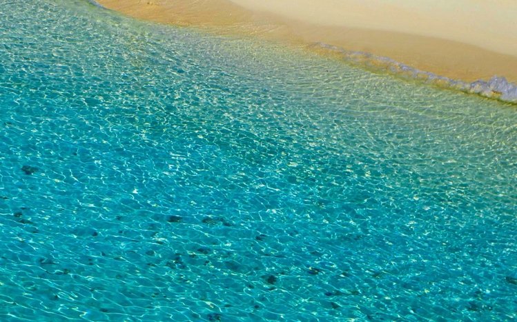 Tropical Summer Theme screenshot #6