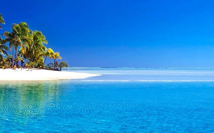 Tropical Summer Theme screenshot #4