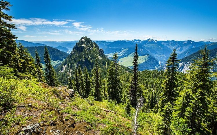 Summer Landscape Theme screenshot #7