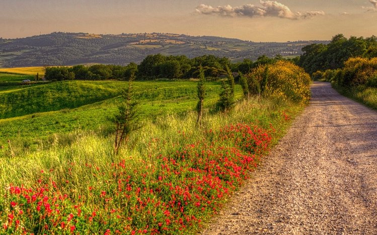 Summer Landscape Theme screenshot #11