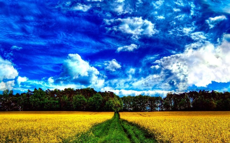 Summer Landscape Theme screenshot #4