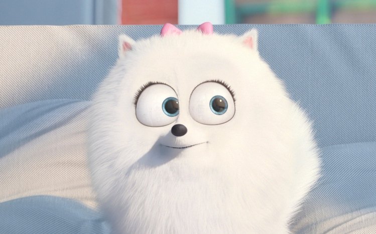 The Secret Life of Pets Theme screenshot #2