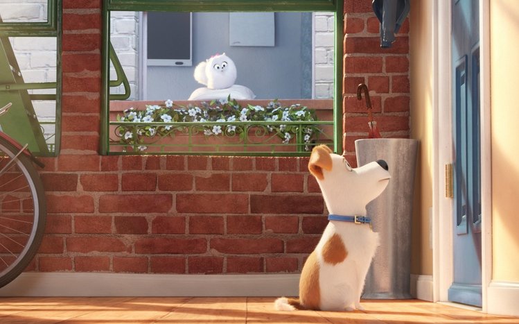 The Secret Life of Pets Theme screenshot #3