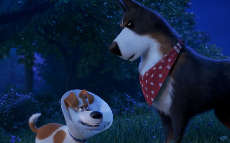 The Secret Life of Pets Theme screenshot #15