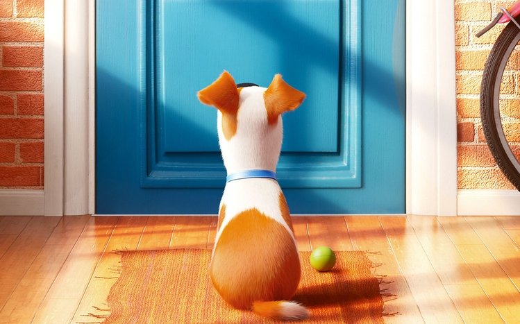 The Secret Life of Pets Theme screenshot #1
