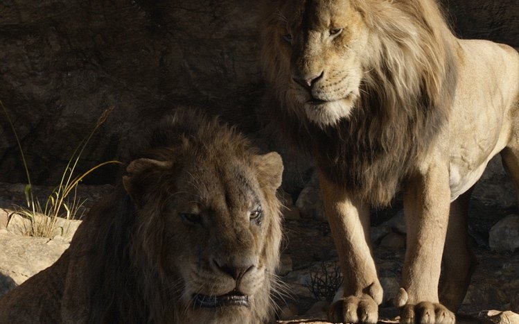 The Lion King (2019) Theme screenshot #12