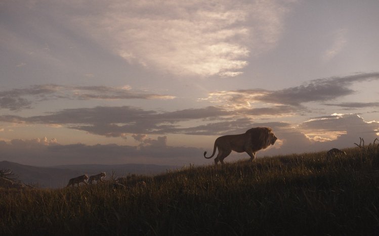 The Lion King (2019) Theme screenshot #8