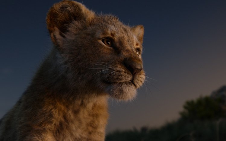 The Lion King (2019) Theme screenshot #13
