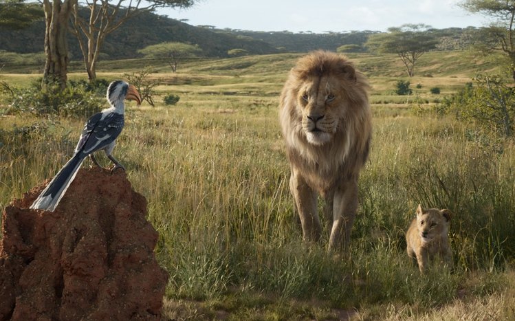 The Lion King (2019) Theme screenshot #11