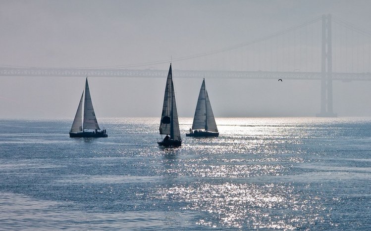 Sailing Boats Theme screenshot #2