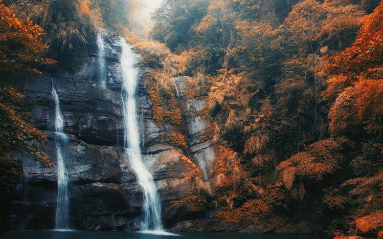 Forest Waterfall Theme screenshot #13