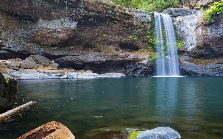 Forest Waterfall Theme screenshot #9