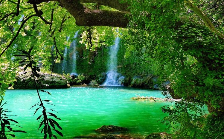 Forest Waterfall Theme screenshot #6