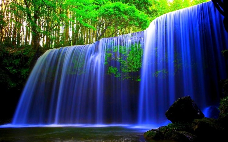 Forest Waterfall Theme screenshot #2