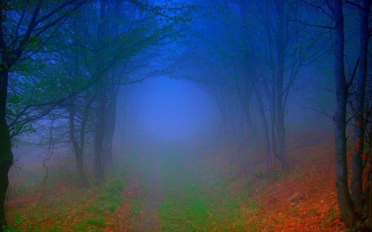 Foggy Forest Theme screenshot #9