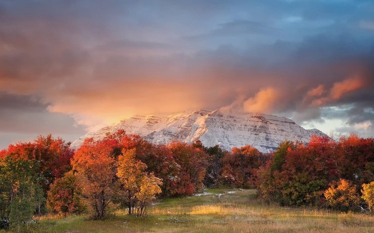 Autumn Forest Theme screenshot #14