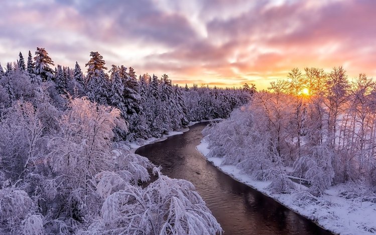 Winter Forest Theme screenshot #7