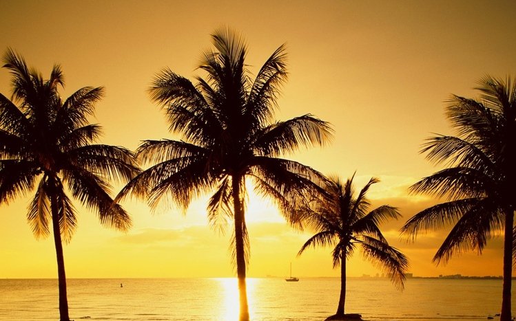 Seaside Sunset Theme screenshot #12