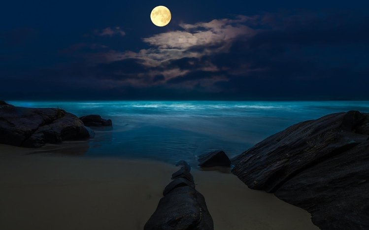 Night Beach Theme screenshot #6