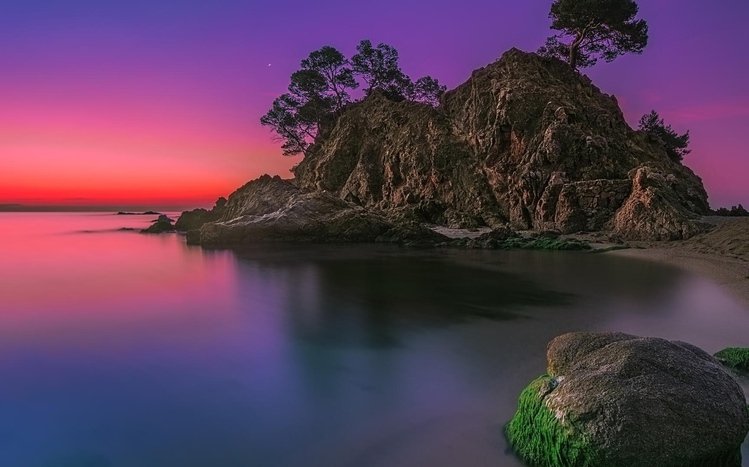 Beach (Pink) Theme screenshot #3