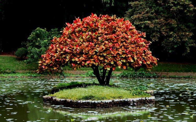 Green Tree Theme screenshot #1