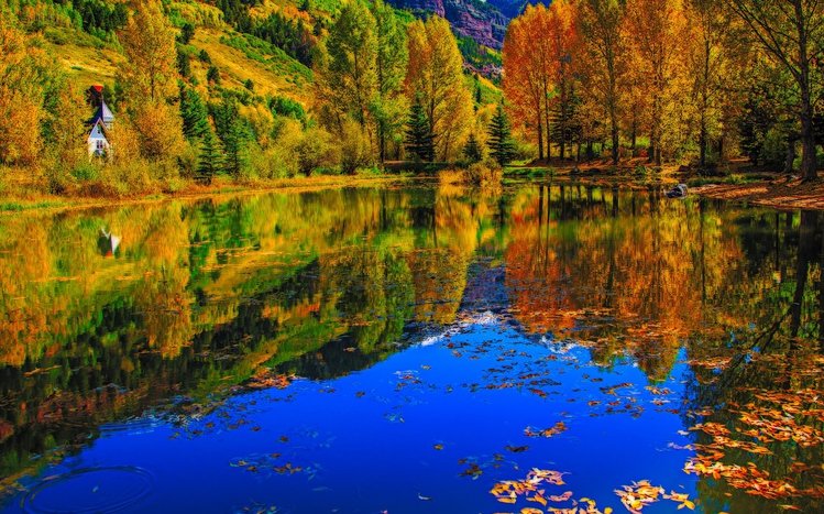 Autumn Tree Theme screenshot #10