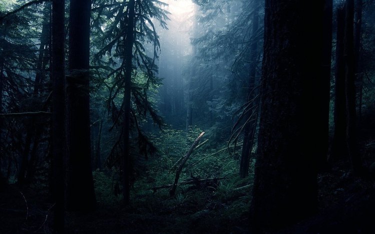 Dark Trees Theme screenshot #10