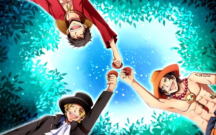 Portgas D. Ace Theme screenshot #15