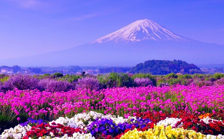 Landscape of Japan Theme screenshot #10