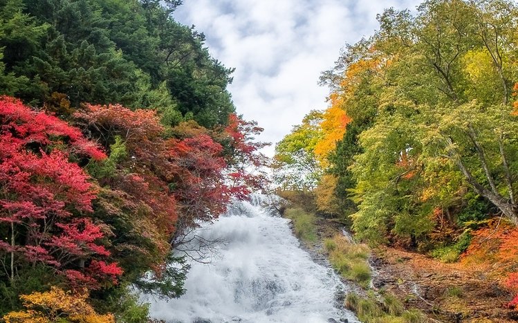 Landscape of Japan Theme screenshot #15