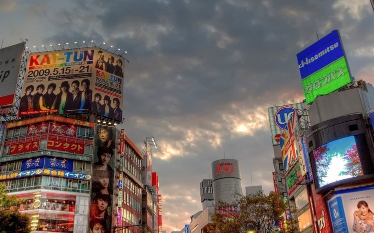 Tokyo Theme screenshot #9