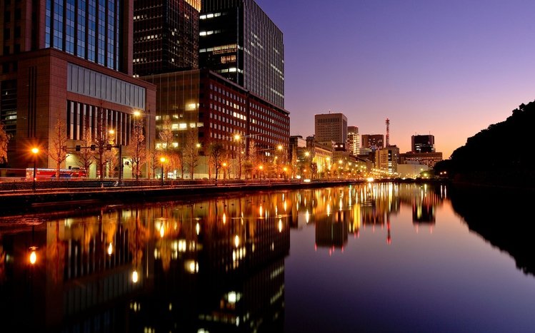 Tokyo Theme screenshot #1