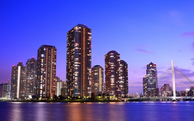 Tokyo Theme screenshot #2