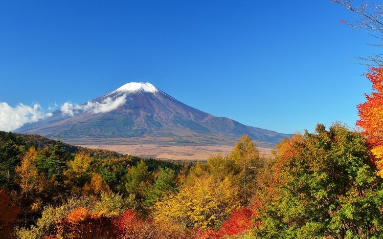 Mount Fuji Windows 11/10 Theme - themepack.me