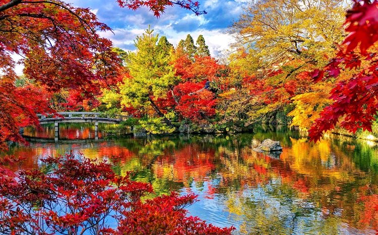 Autumn in Japan Windows 11/10 Theme - themepack.me