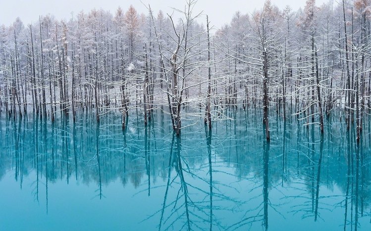 Japanese Winter Theme screenshot #14