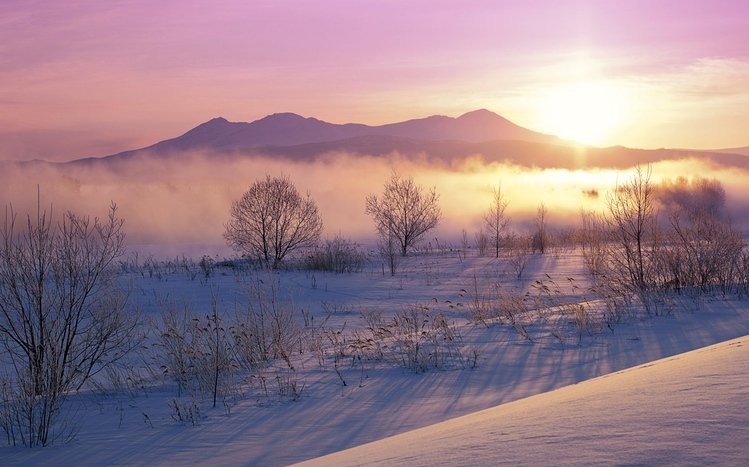 Japanese Winter Theme screenshot #11