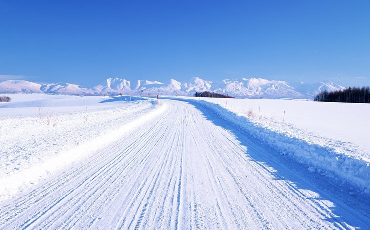 Japanese Winter Theme screenshot #12